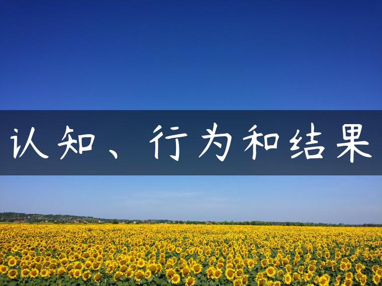 认知、行为和结果