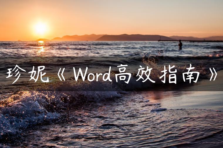 珍妮《Word高效指南》
