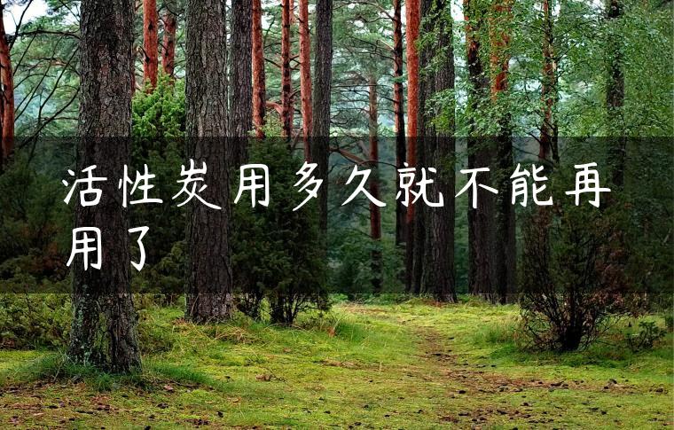 活性炭用多久就不能再用了