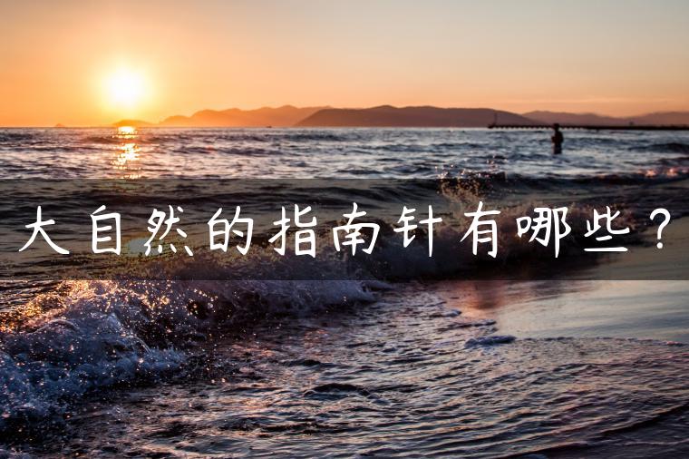 大自然的指南针有哪些？