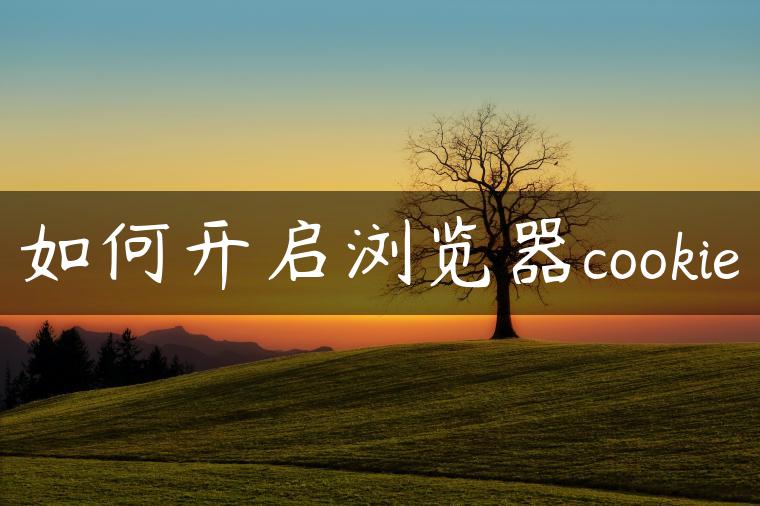 如何开启浏览器cookie