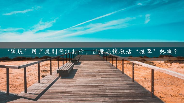 “踩坑”用户挑刺网红打卡，过度滤镜激活“拔草”热潮？
