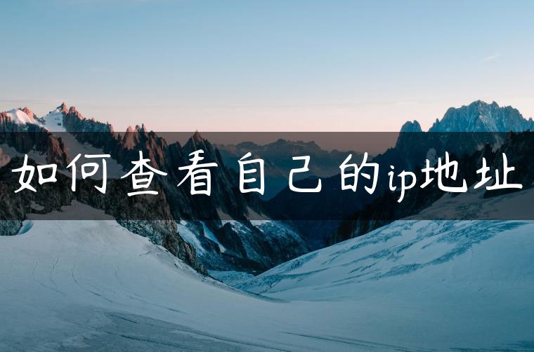 如何查看自己的ip地址