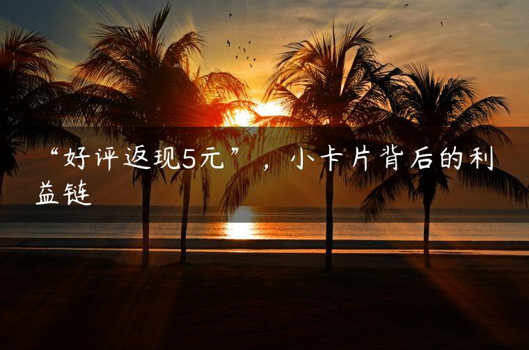“好评返现5元”，小卡片背后的利益链