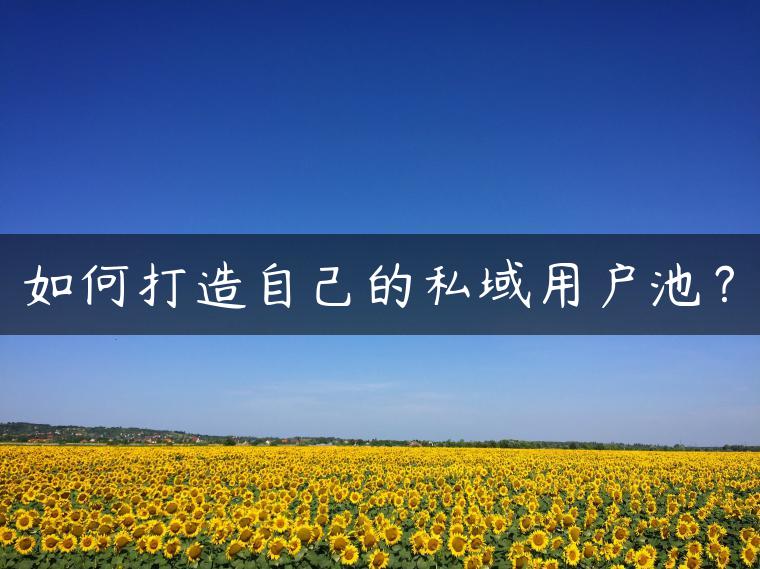 如何打造自己的私域用户池？