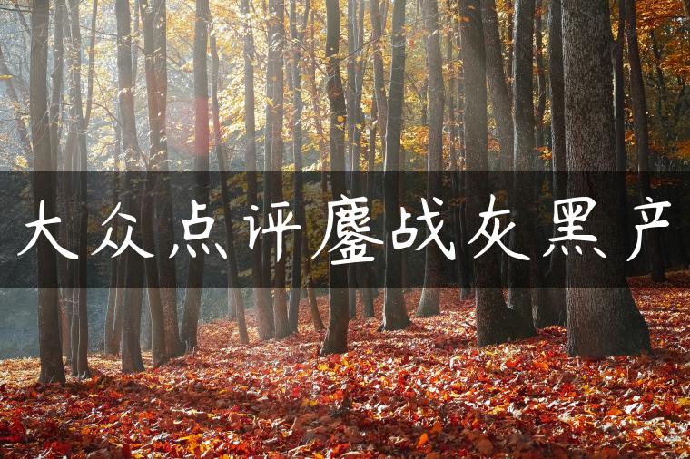大众点评鏖战灰黑产