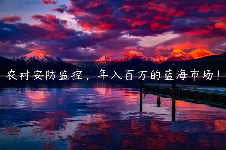 农村安防监控，年入百万的蓝海市场！