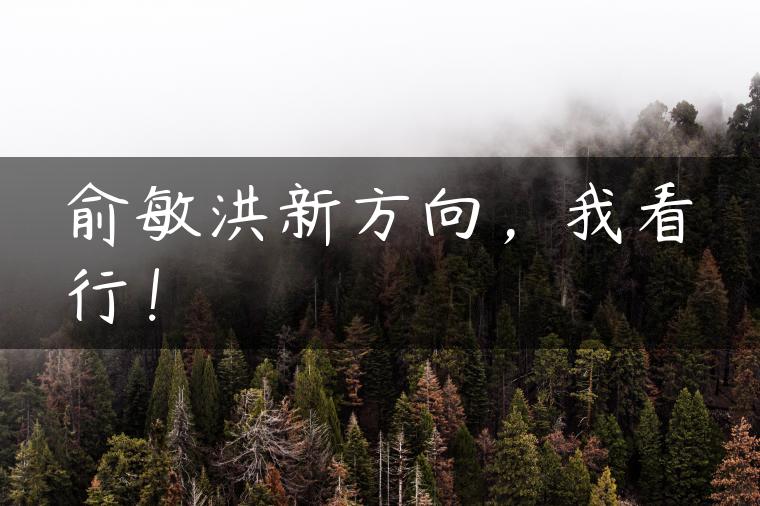 俞敏洪新方向，我看行！