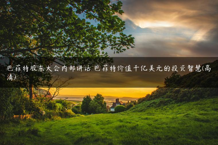 巴菲特股东大会内部讲话 巴菲特价值千亿美元的投资智慧(高清)