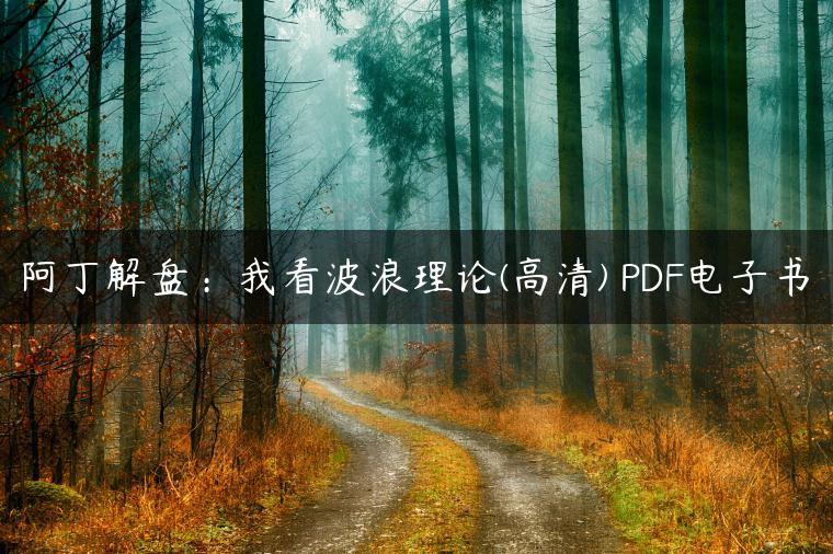 阿丁解盘:我看波浪理论(高清) PDF电子书 阿丁解盘:我看波浪理论(高清) PDF电子书