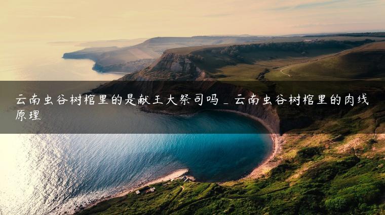 云南虫谷树棺里的是献王大祭司吗_云南虫谷树棺里的肉线原理