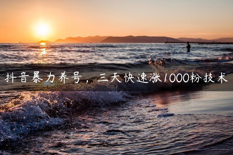抖音暴力养号，三天快速涨1000粉技术