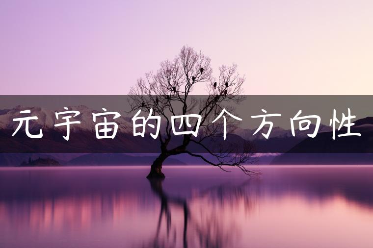 元宇宙的四个方向性