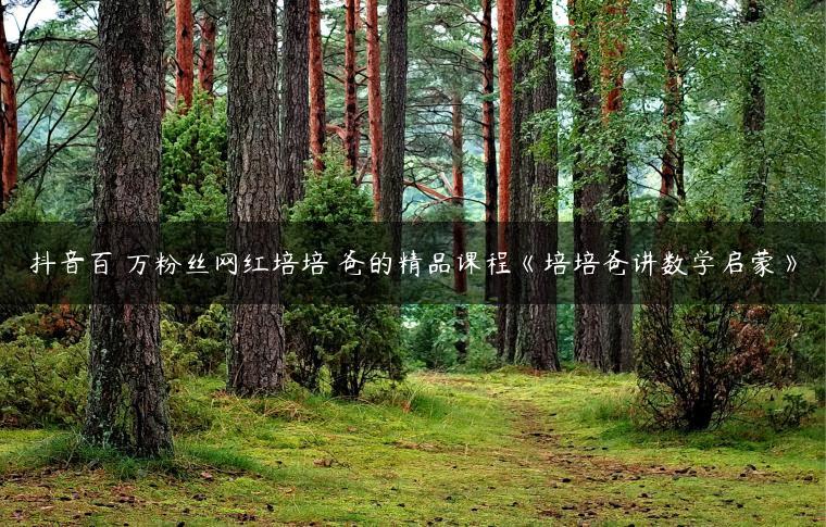 抖音百‬万粉丝网红培培‬爸的精品课程《培培爸讲数学启蒙》