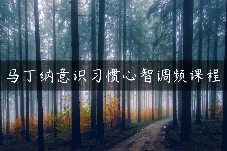 马丁纳意识习惯心智调频课程