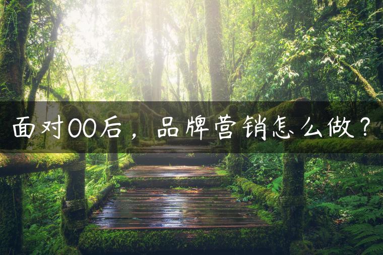 面对00后，品牌营销怎么做？