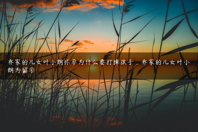 乔家的儿女叶小朗怀孕为什么要打掉孩子_乔家的儿女叶小朗为留学 乔家的儿女叶小朗怀孕为什么要打掉孩子_乔家的儿女叶小朗为留学