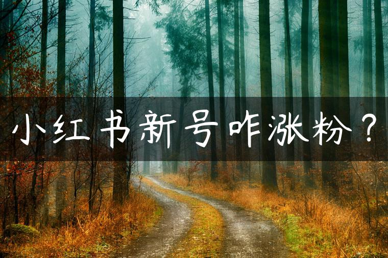 小红书新号咋涨粉？