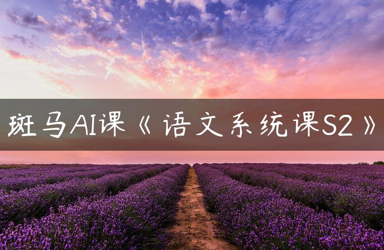 斑马AI课《语文系统课S2》