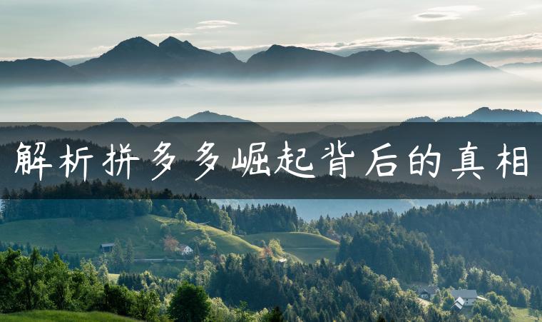 解析拼多多崛起背后的真相