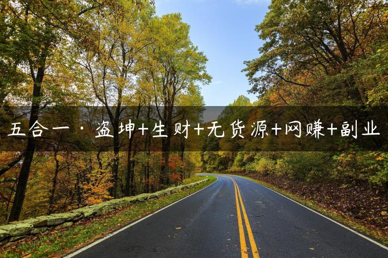 五合一·盗坤+生财+无货源+网赚+副业