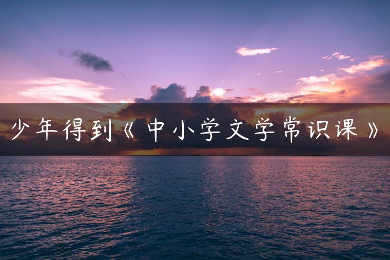 少年得到《中小学文学常识课》