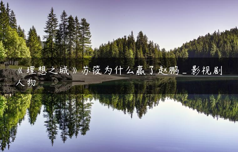 《理想之城》苏筱为什么赢了赵鹏_影视剧人物