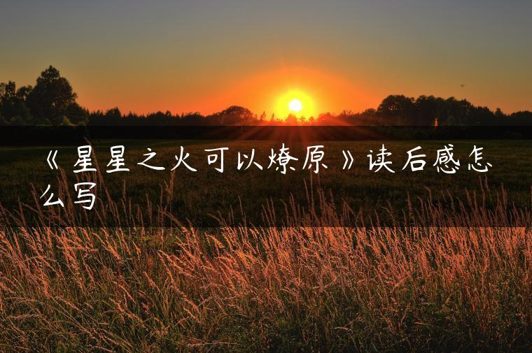 《星星之火可以燎原》读后感怎么写