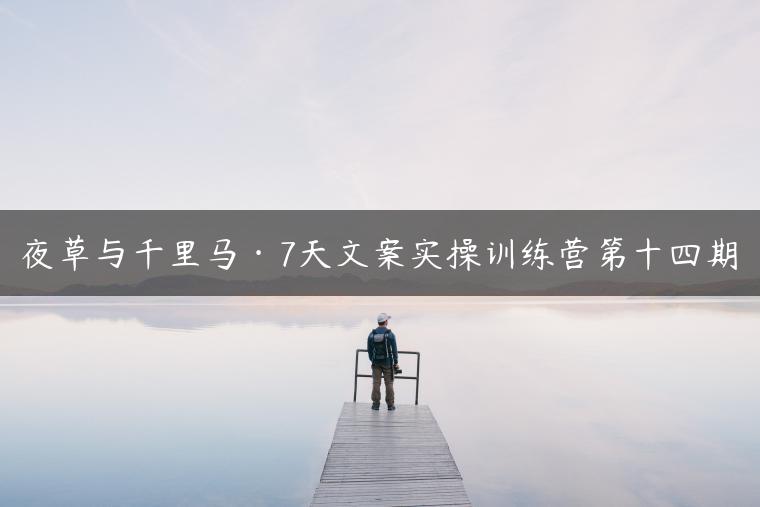 夜草与千里马·7天文案实操训练营第十四期
