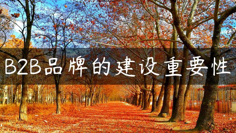B2B品牌的建设重要性