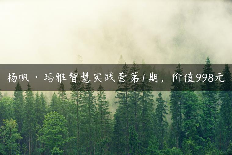 杨帆·玛雅智慧实践营第1期，价值998元