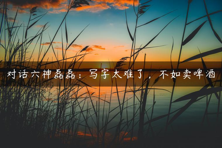 对话六神磊磊：写字太难了，不如卖啤酒