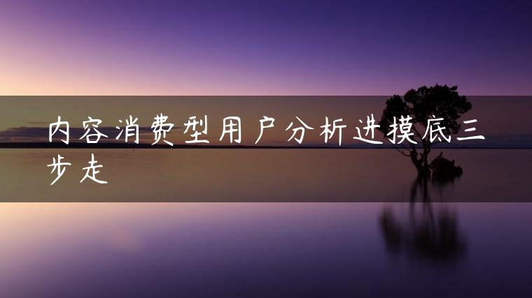 内容消费型用户分析进摸底三步走