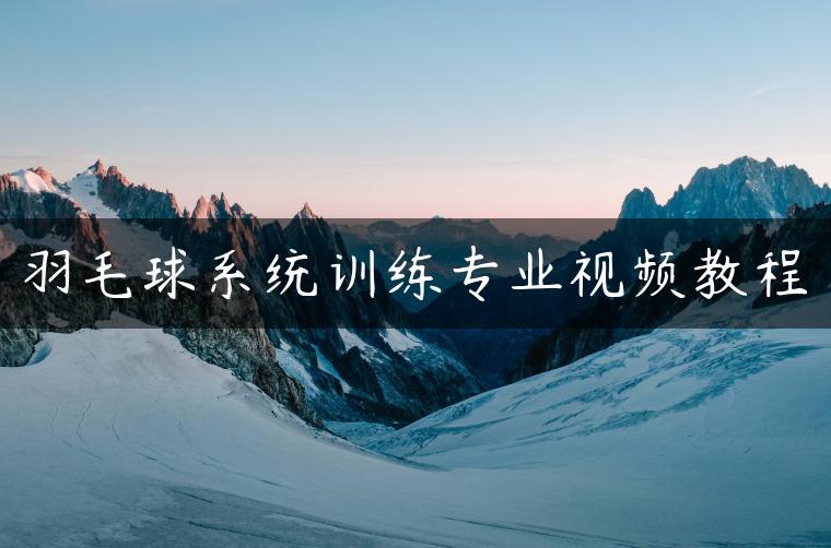 羽毛球系统训练专业视频教程
