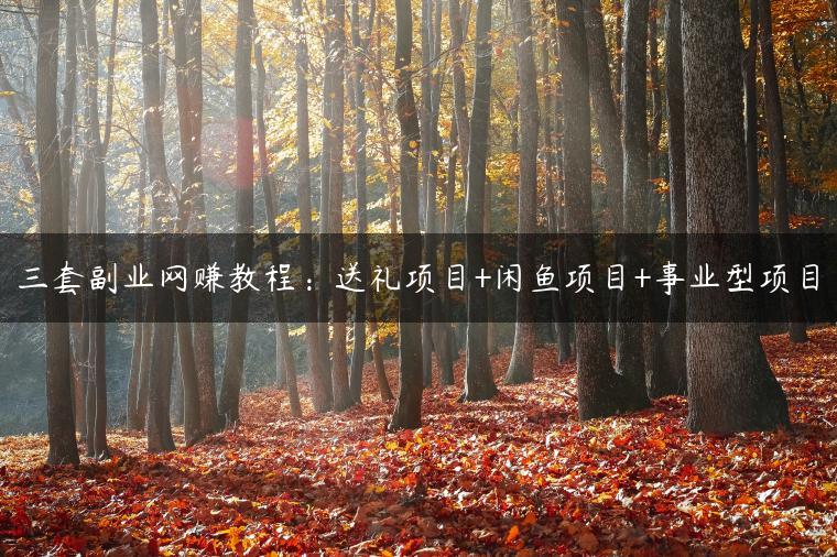 三套副业网赚教程：送礼项目+闲鱼项目+事业型项目