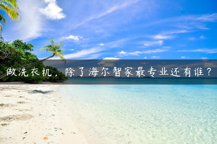 做洗衣机，除了海尔智家最专业还有谁？