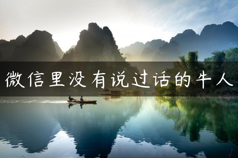 微信里没有说过话的牛人