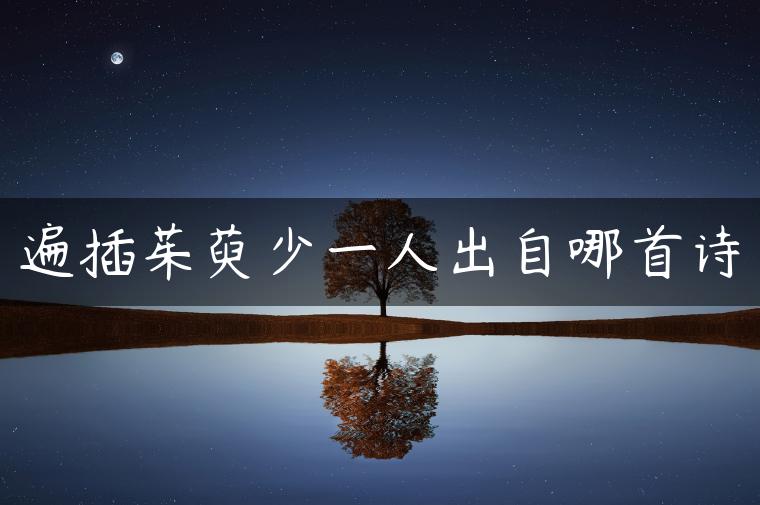 遍插茱萸少一人出自哪首诗