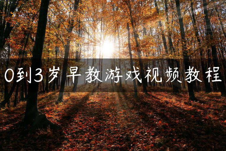 0到3岁早教游戏视频教程