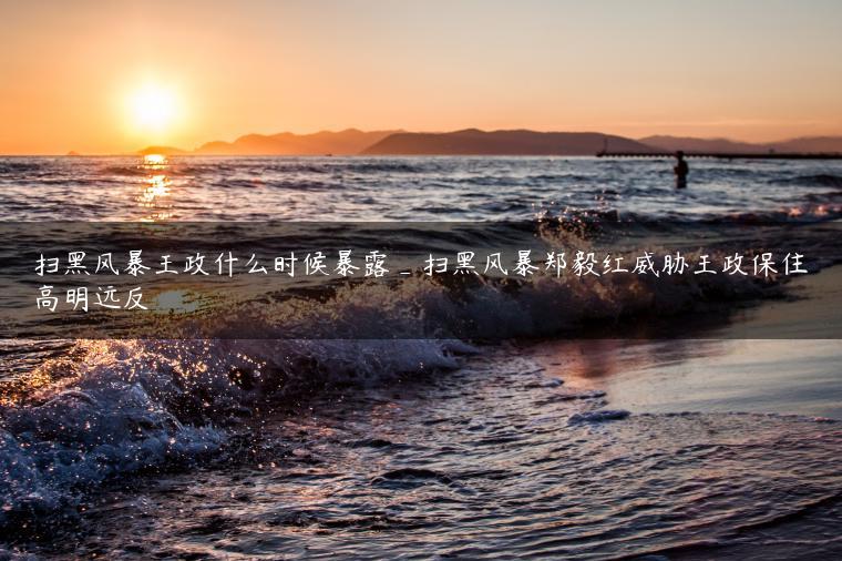 扫黑风暴王政什么时候暴露_扫黑风暴郑毅红威胁王政保住高明远反