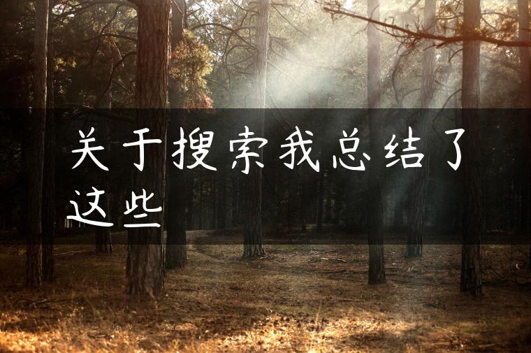 关于搜索我总结了这些