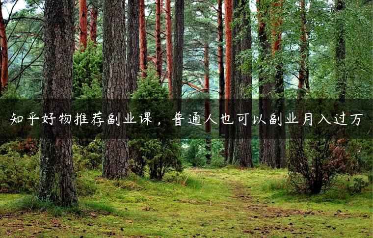 知乎好物推荐副业课，普通人也可以副业月入过万