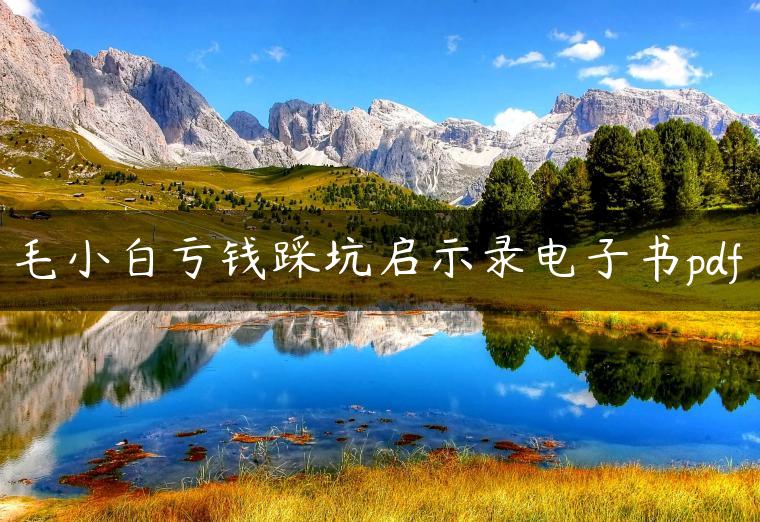 毛小白亏钱踩坑启示录电子书pdf 毛小白亏钱踩坑启示录电子书pdf