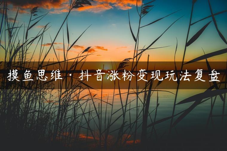 摸鱼思维·抖音涨粉变现玩法复盘 摸鱼思维·抖音涨粉变现玩法复盘