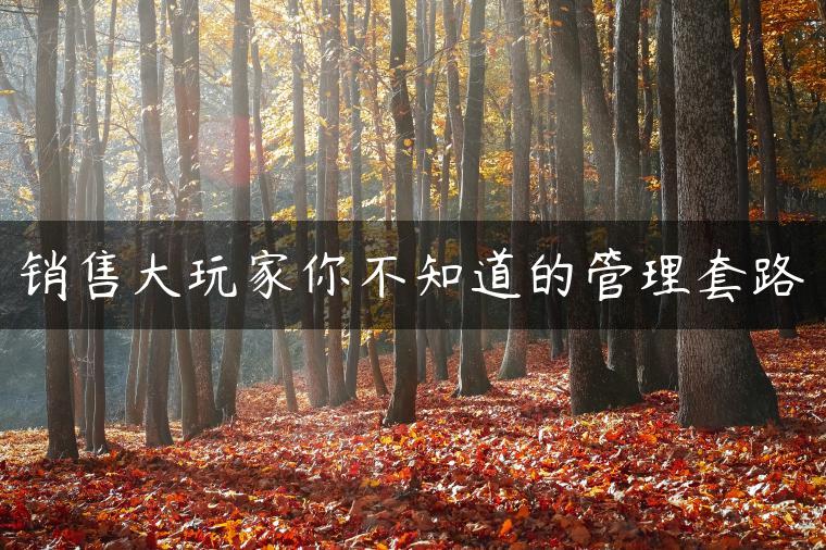 销售大玩家你不知道的管理套路