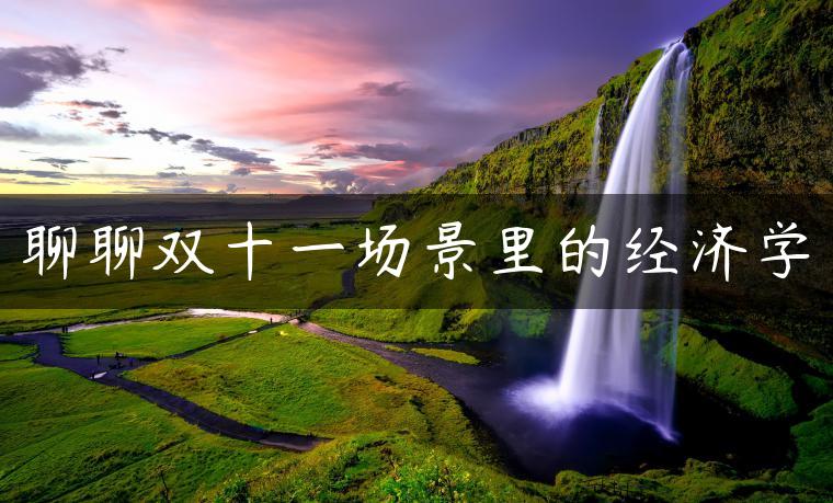聊聊双十一场景里的经济学