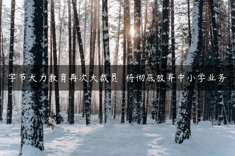 字节大力教育再次大裁员  将彻底放弃中小学业务