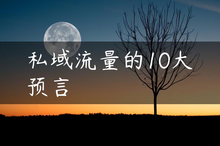 私域流量的10大预言