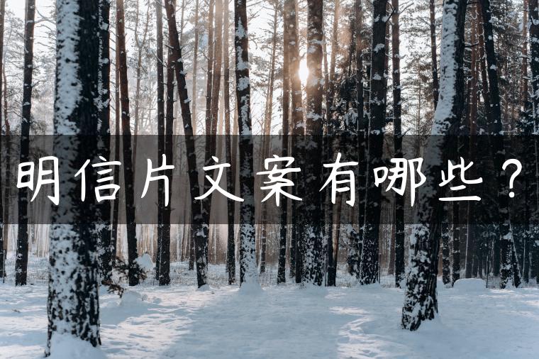 明信片文案有哪些？