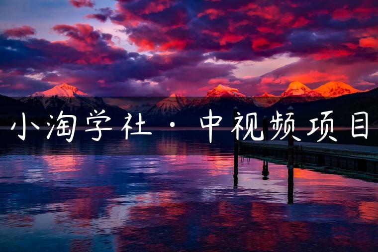 小淘学社·中视频项目